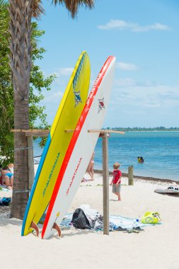 sörf tahtaları ve Miami beach keyfi kişi