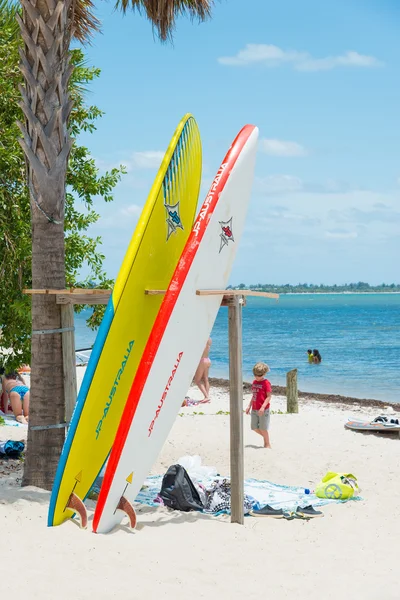 Planches de surf et les personnes appréciant la plage à Miami — Photo