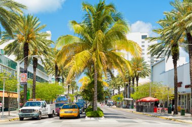 Lincoln Yolu 'ndaki tropikal palmiye ağaçları arasında trafik ve dükkanlar