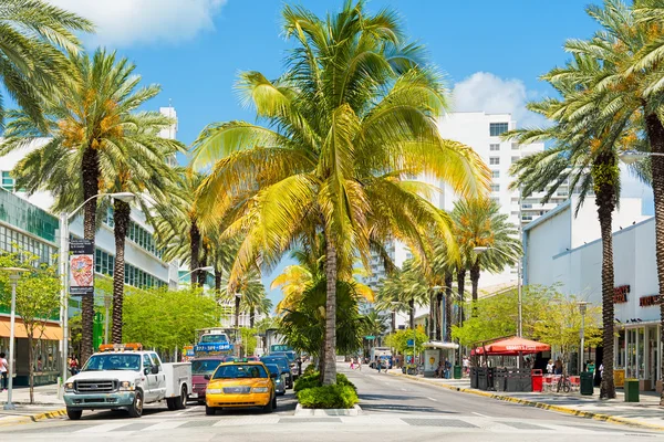 Ruch uliczny i sklepy wśród tropikalnych palm na Lincoln Road w — Zdjęcie stockowe