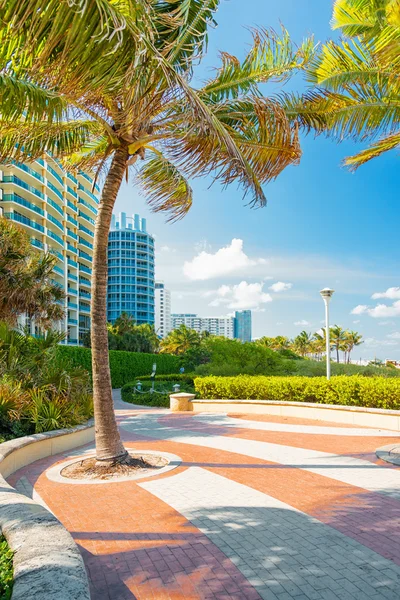 Boulevard junto a la orilla en Miami Beach — Foto de Stock
