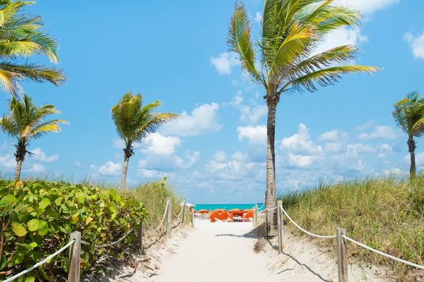 Sonniger Tag am Südstrand, Miami — Stockfoto