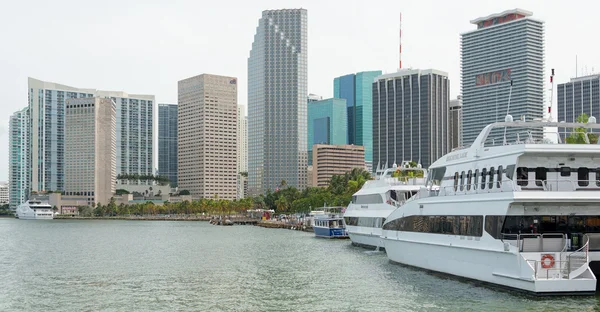 The skyline of downtown Miami with modern yachts docked at the b — Stock Photo, Image