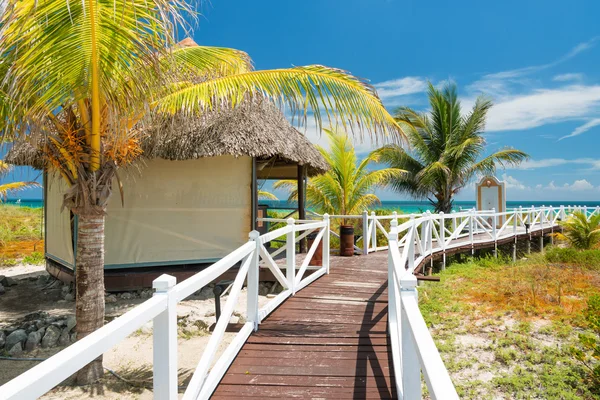 Path leading to a tropical beach in Cuba — Stock Photo, Image