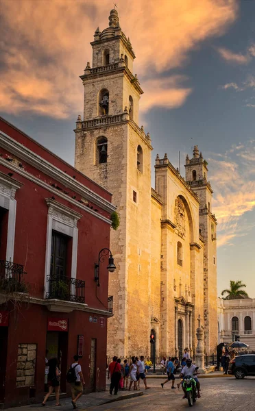 Merida Mexiko August 2022 Stadtbild Mit Der Kathedrale Von Merida — Stockfoto