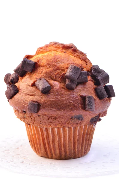 Schokoladen-Muffin — Stockfoto