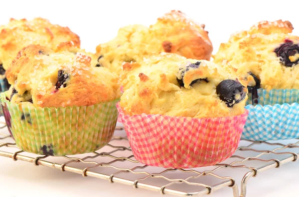 Rustic blueberry muffins — Stock Photo, Image