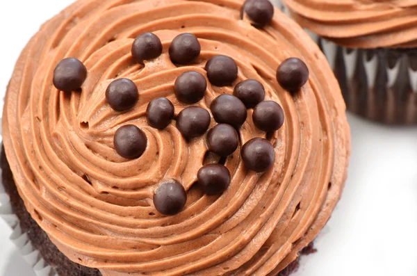 Gourmet chocolate iced cupcakes — Stock Photo, Image