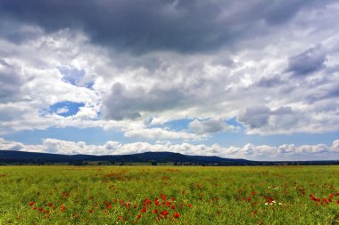 Afrika manzara mavi gökyüzü ve beyaz bulutlar