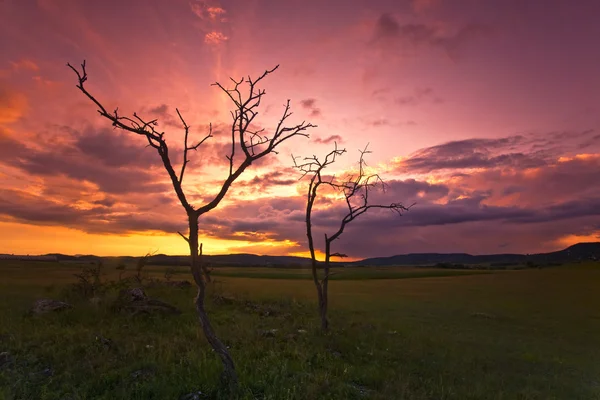 Afrikanischer Sonnenaufgang — Stockfoto