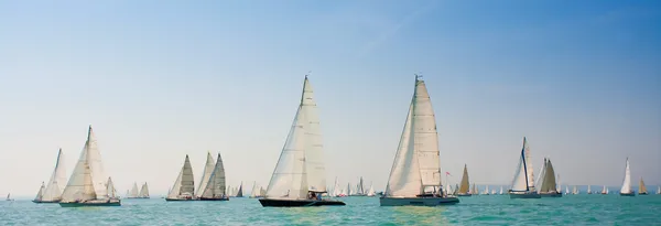 Segelregatta auf dem Meer — Stockfoto