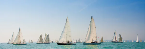 Zeilregatta op de zee — Stockfoto