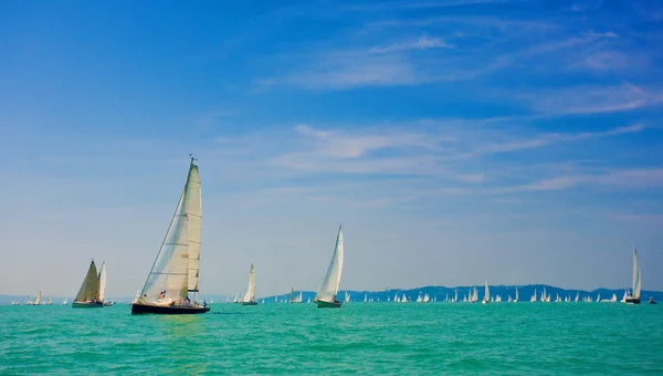 Segling regatta på havet — Stockfoto