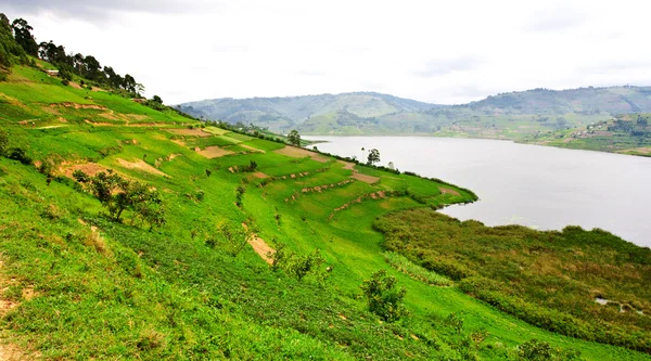 ทะเลสาบ Bunyonyi ในอูกันดา แอฟริกา — ภาพถ่ายสต็อก