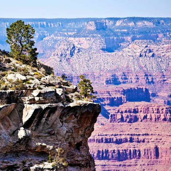 Mooi landschap, grand canyon, arizona, Verenigde Staten. de grand canyon is een steile-zijdige canyon gesneden door de colorado rivier in de Verenigde Staten in de staat arizona. — Stockfoto