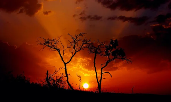 Африканский восход — стоковое фото