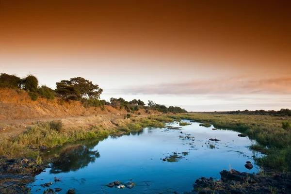 南アフリカのクルーガー国立公園のアフリカの風景 — ストック写真