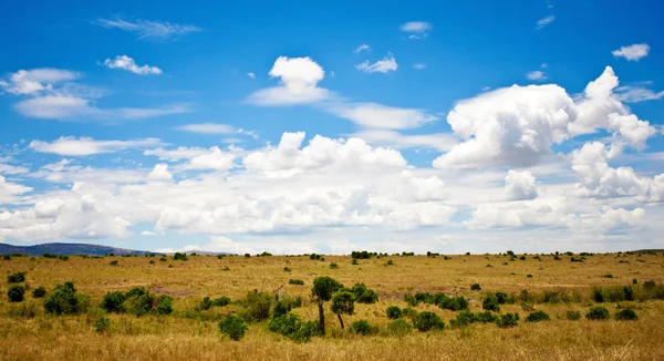 Afrikanska landskap, maasai mara, kenya — Stockfoto