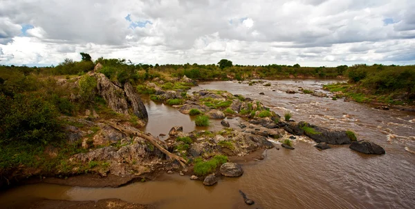 Il fiume Mara nella riserva Maasai Mara in Kenya, Africa — Foto Stock