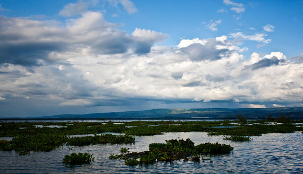 Lake Naivasha in Kenya, Africa