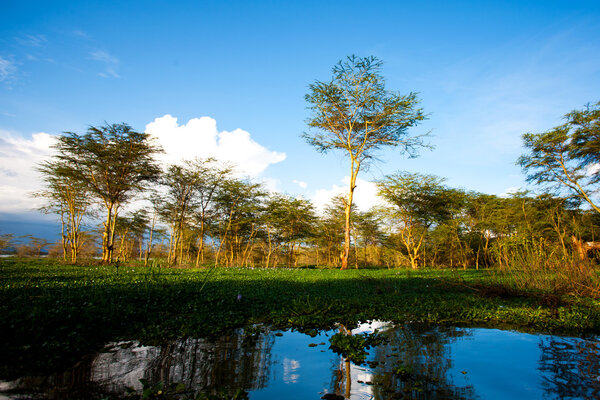 Lake Naivasha in Kenya, Africa.