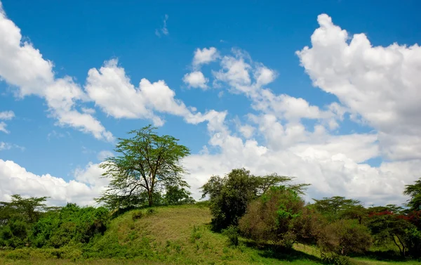 Hermoso paisaje africano, Kenia — Foto de Stock