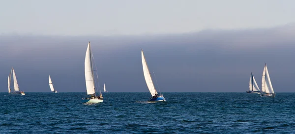 Zeilboten op de Stille Oceaan — Stockfoto