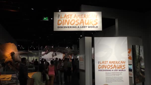 Washington Usa Besucher National Museum Natural History Washington — Stockvideo