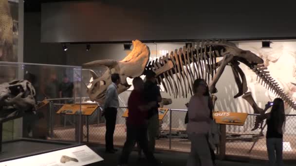 Washington Usa Visitatori Del Museo Nazionale Storia Naturale Washington — Video Stock