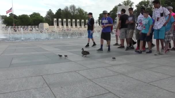 Monumento Segunda Guerra Mundial Washington Alrededor Mayo 2022 — Vídeos de Stock