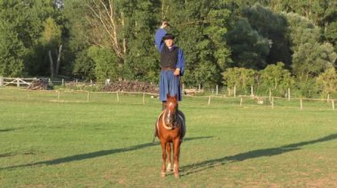 HORTOBAGY, HUNGARY - 27 AUG: Macar Csikos veya çobanlar 27 Ağustos 2015 tarihinde Macaristan 'ın Hortobagy şehrinde. 4K görüntü.