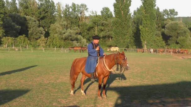 Hortobagy Hungary Aug Hungarian Csikos Herdsmen Great Hungarian Plain 27Th — 비디오