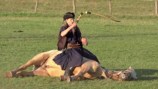 Hortobagy Hungary Aug Hungarian Csikos Herdsmen Great Hungarian Plain 27Th — Stock Video