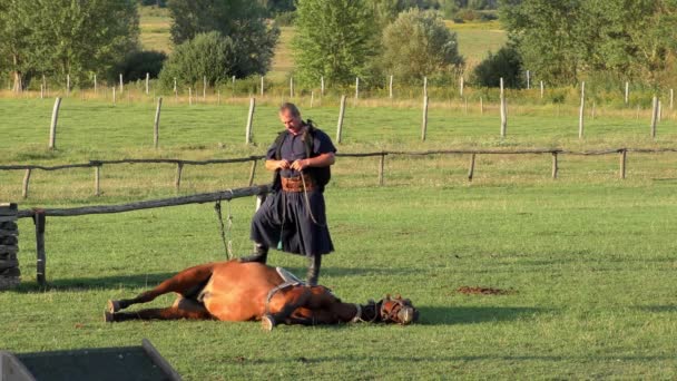 Hortobagy Hungary Aug Hungarian Csikos Herdsmen Great Hungarian Plain 27Th — Stock Video