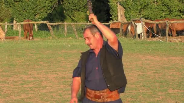 Hortobagie Hongrie Août Csikos Hongrois Bergers Dans Grande Plaine Hongroise — Video