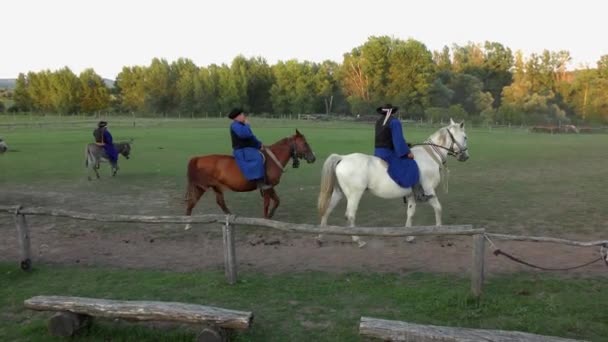 Hortobagy Hungary Aug Hungarian Csikos Herdsmen Great Hungarian Plain 27Th — Stock Video