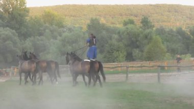 HORTOBAGY, HUNGARY - 27 AUG: Macar Csikos veya çobanlar 27 Ağustos 2015 tarihinde Macaristan 'ın Hortobagy şehrinde. 4K görüntü.