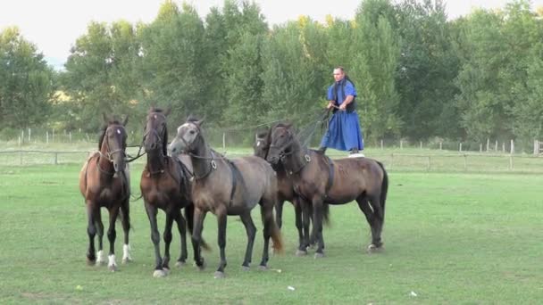 Hortobagie Hongrie Août Csikos Hongrois Bergers Dans Grande Plaine Hongroise — Video