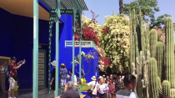 Oidentifierade Personer Majorelle Garden Marrakech Marocko 2018 — Stockvideo