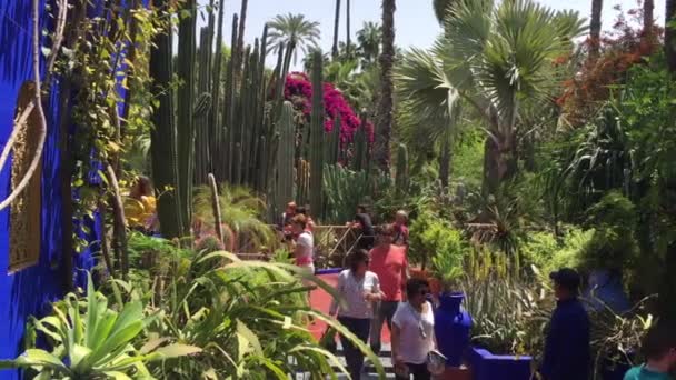 Personas Identificadas Jardín Majorelle Marrakech Marruecos 2018 — Vídeos de Stock