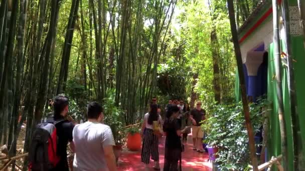 Personnes Non Identifiées Dans Jardin Majorelle Marrakech Maroc 2018 — Video