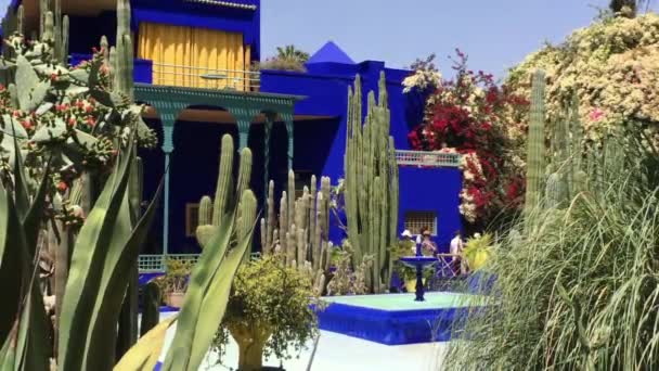 Ismeretlen Személyek Marrákesi Majorelle Gardenben Marokkó 2018 — Stock videók