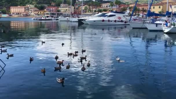 Felvétel Bastia Yacht Harbour Ról Korzika Franciaország — Stock videók