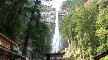 Japonya, Wakayama 'daki Nachi Şelalesi.