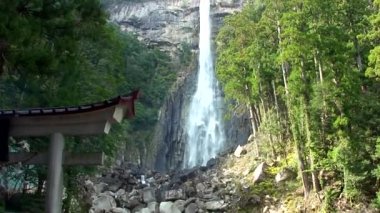 Japonya, Wakayama 'daki Nachi Şelalesi.