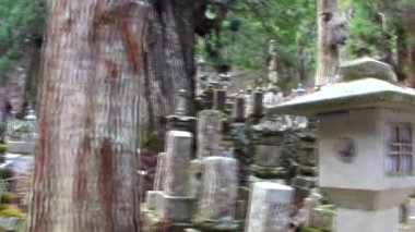 KOYASAN, JAPONYA - 29 Mart 2014 tarihinde Japonya 'nın Koyasan kentinde Koya Dağı' ndaki Okunoin Mezarlığı. Okunoin mezarlığı Japonya 'daki en kutsal yerlerden biridir ve popüler bir hac mekanıdır..