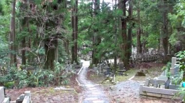 KOYASAN, JAPONYA - 29 Mart 2014 tarihinde Japonya 'nın Koyasan kentinde Koya Dağı' ndaki Okunoin Mezarlığı. Okunoin mezarlığı Japonya 'daki en kutsal yerlerden biridir ve popüler bir hac mekanıdır..