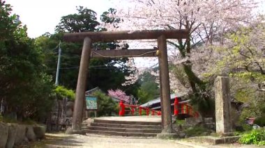 Kumano Kodo Daimonzaka 'nın görüntüleri, Japonya