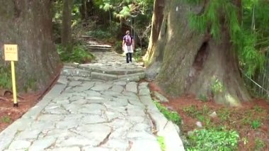 Kumano Kodo Daimonzaka 'nın görüntüleri, Japonya