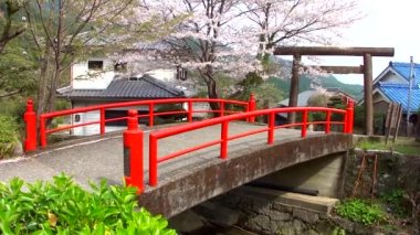 Kumano Kodo Daimonzaka 'nın görüntüleri, Japonya